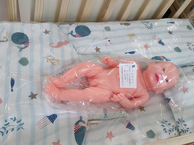 婴儿模型